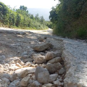 PISCIARELLO